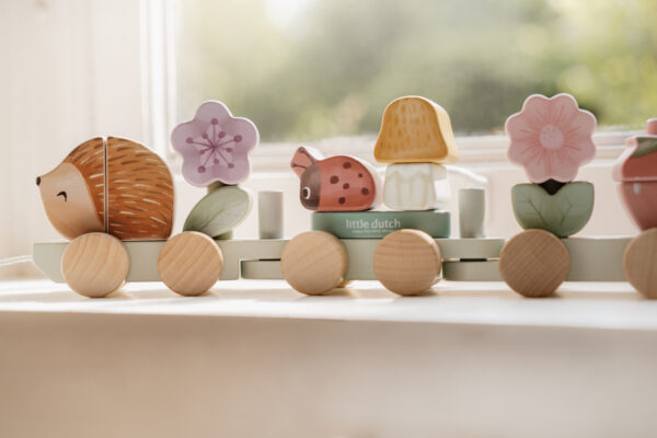 Trenino con costruzioni FSC